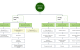 Roles and responsibilities within the student mobility ecosystem